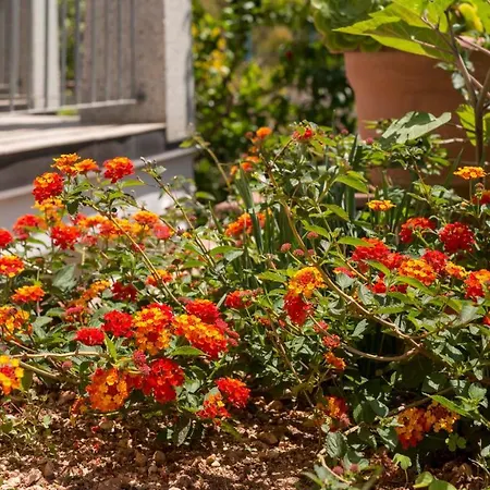 Riflessi Sul Mare Apartment *